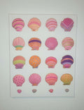 Pink Seashell Collection – Original Hand-Painted Canvas (16x20)